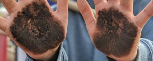 Community gardening as a pedagogical benefit