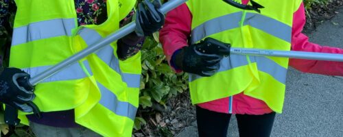 Caring for the environment