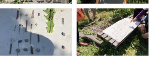 Enhancing community in connection with the land on our practicum/CFE
